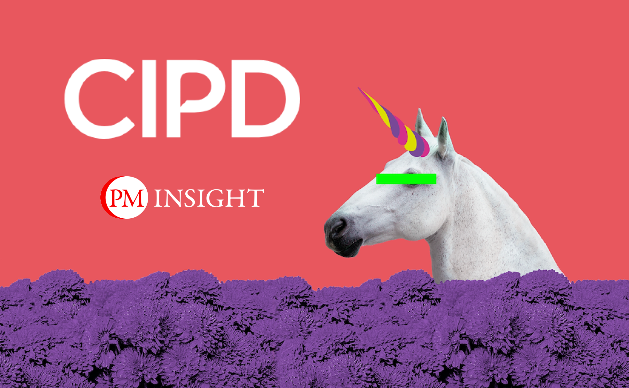CIPD and nudge webinar: How to break the great wellbeing myth
