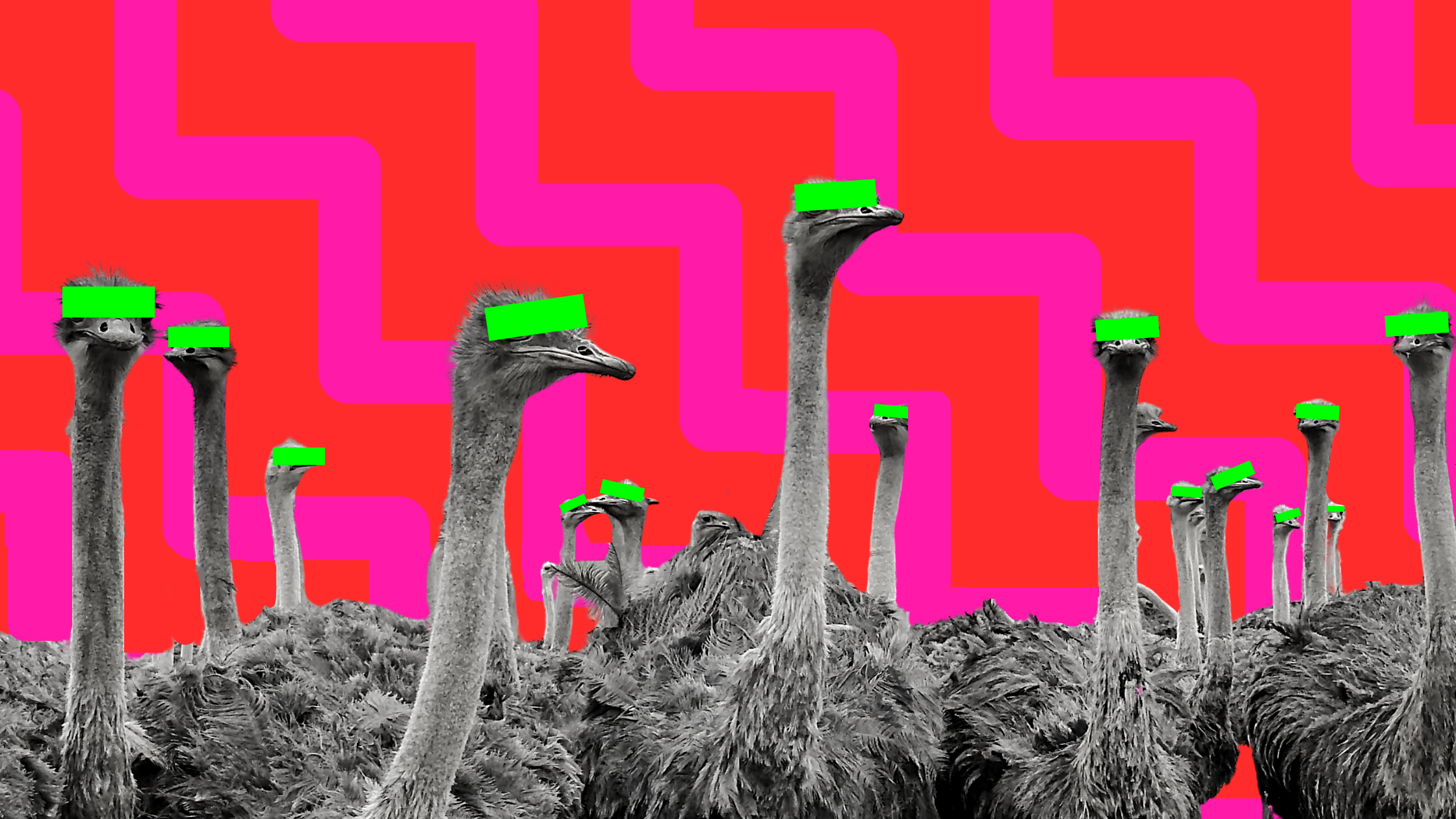 Ostracise the ostrich within