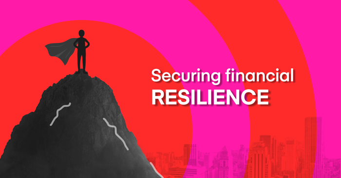 Securing financial resilience guide