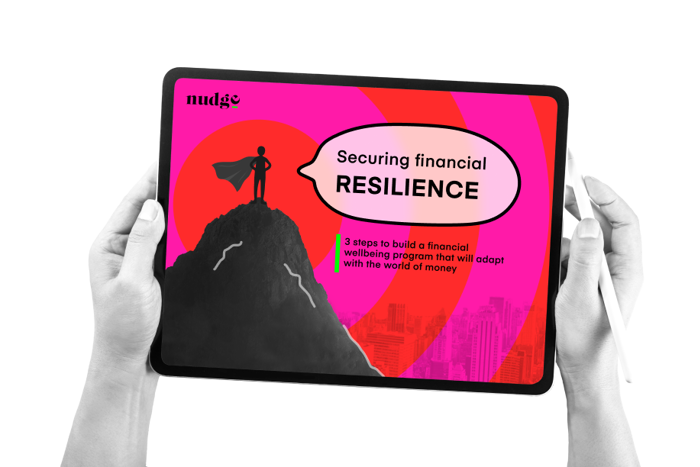 Securing financial resilience guide